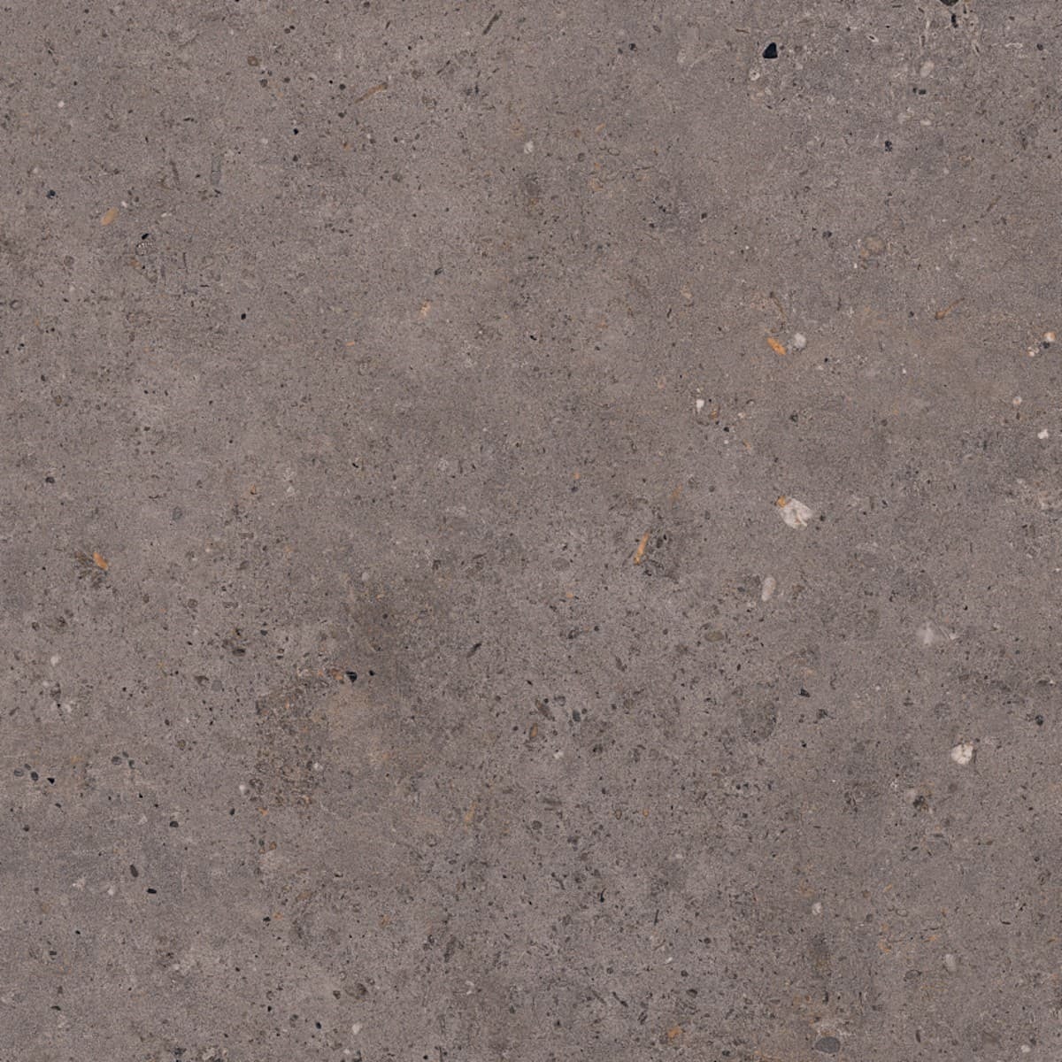 Biophilic dark grey  60x60 8,5MM GRIP