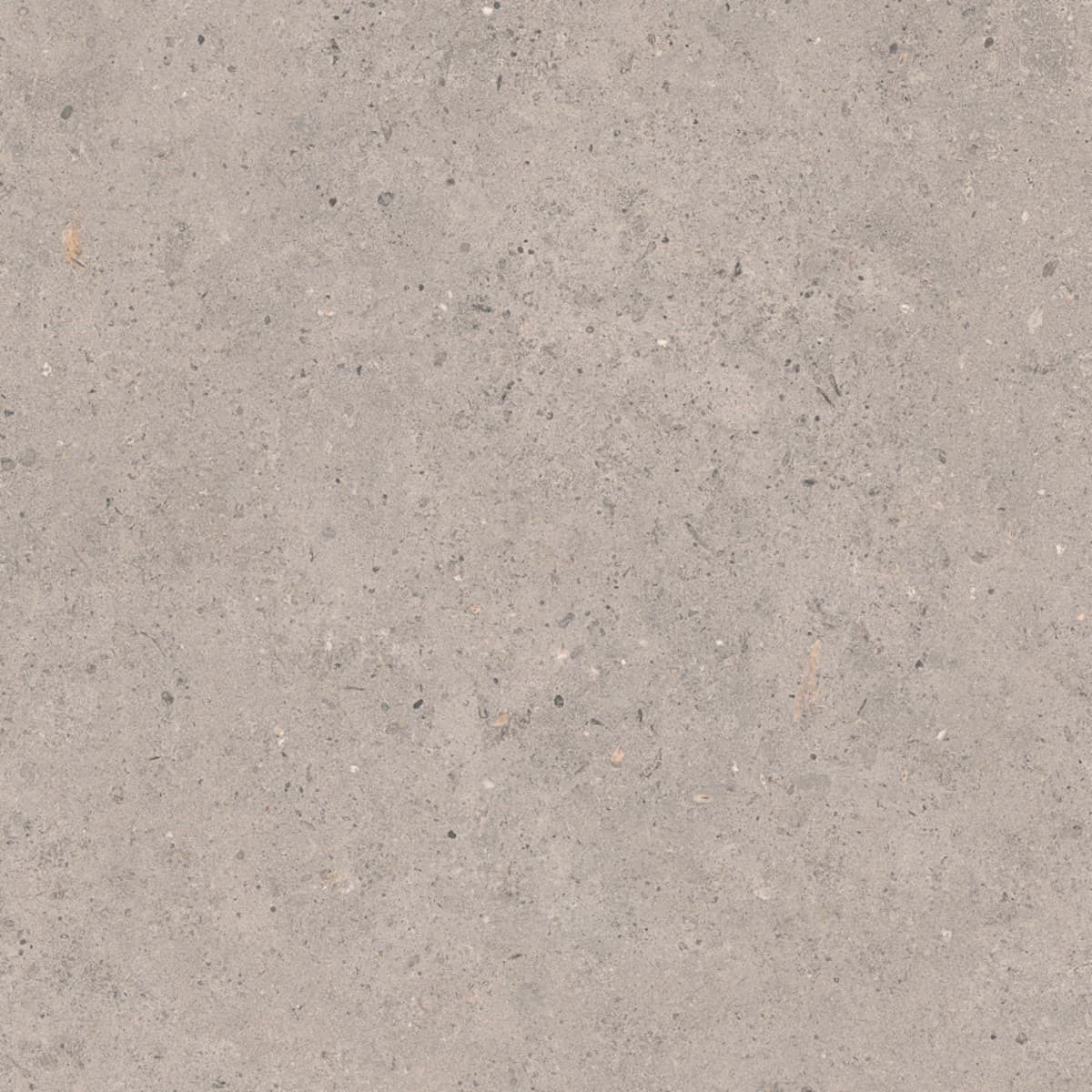 Biophilic grey  60x60 8,5MM GRIP